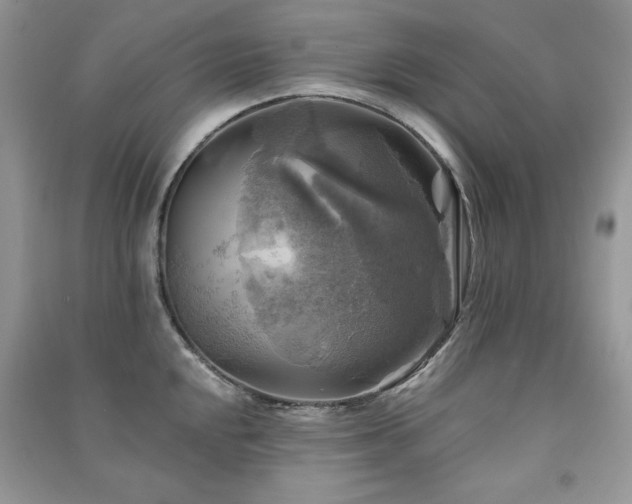 X0000091291048200708101242