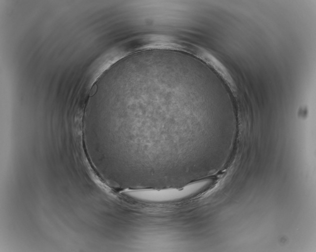 X0000091291049200708101242