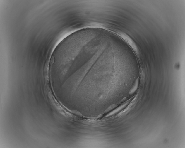 X0000091291052200708101242