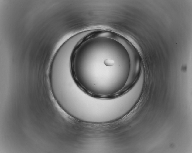 X0000091291054200708101242