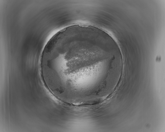 X0000091291056200708101242