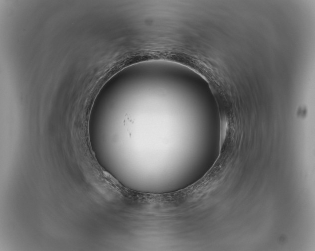 X0000091291057200708101241