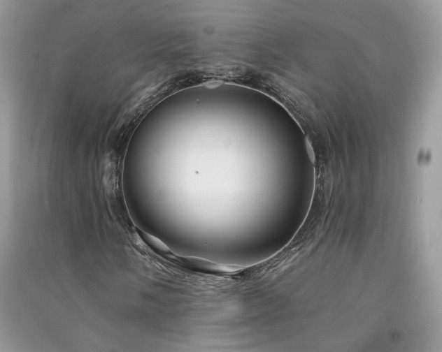 X0000091291058200708101241