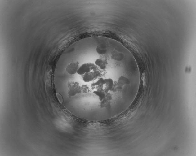 X0000091291059200708101241