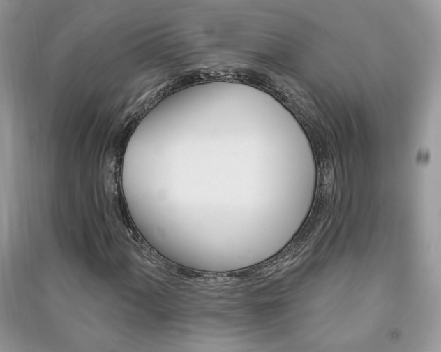 X0000091291060200708101241