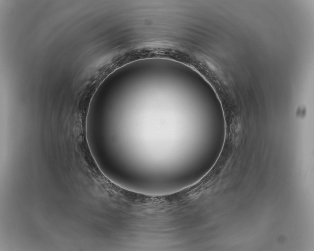 X0000091291062200708101241