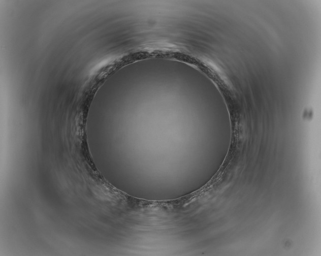 X0000091291063200708101241