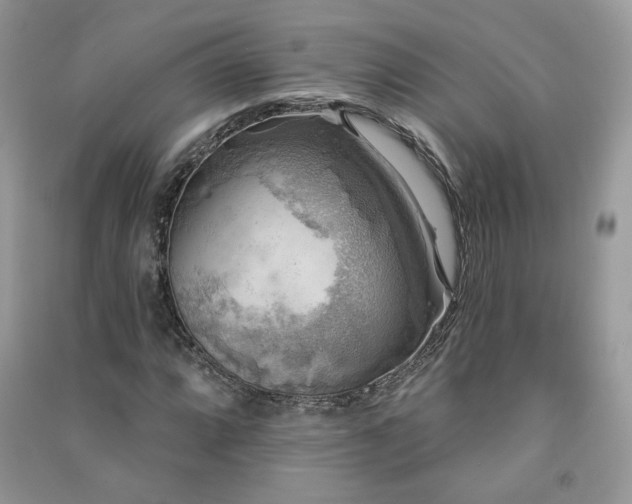 X0000091291064200708101241