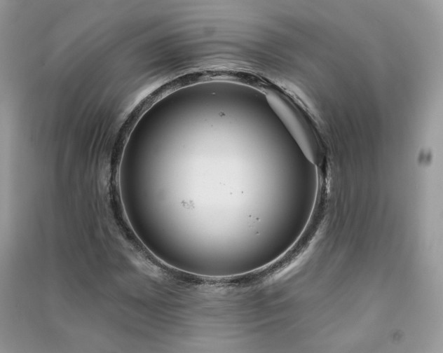 X0000091291065200708101241