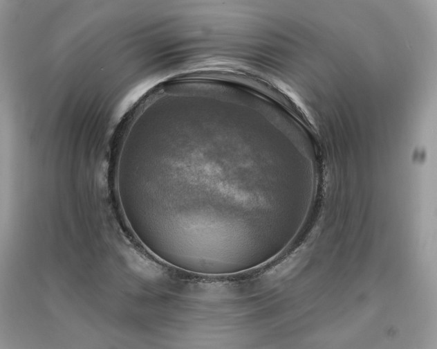 X0000091291066200708101241