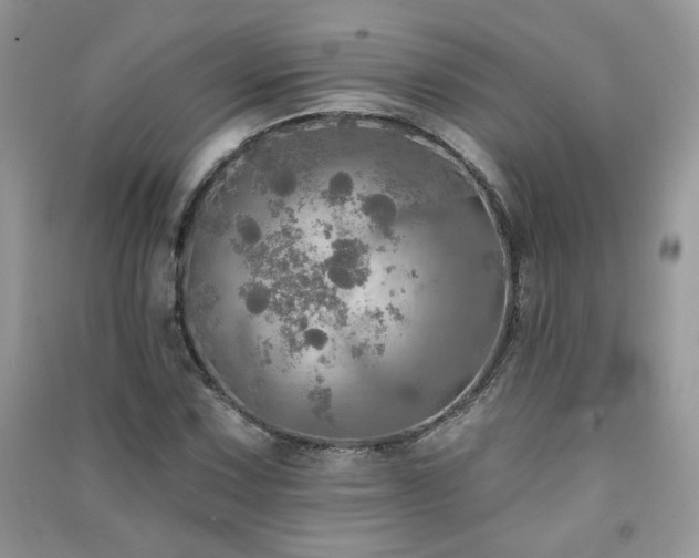 X0000091291067200708101241