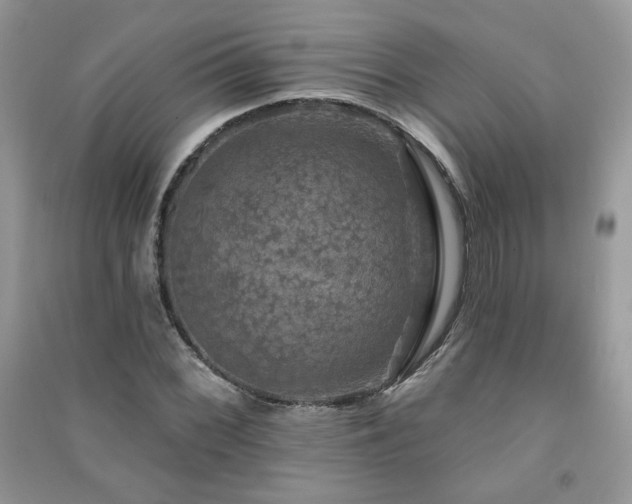 X0000091291068200708101241