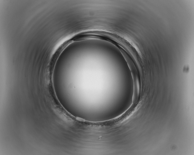 X0000091291069200708101241