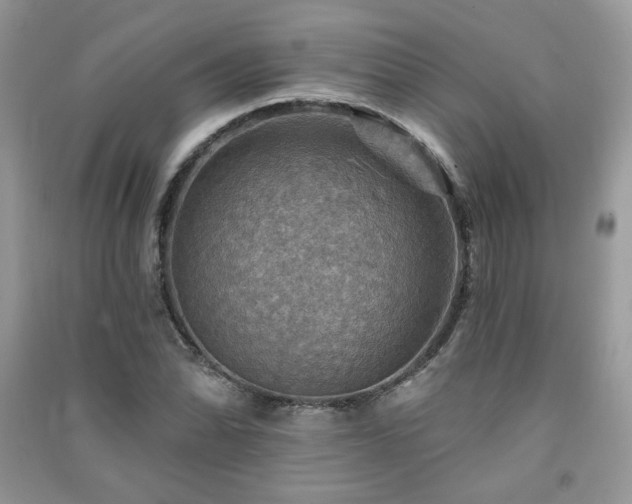 X0000091291070200708101241