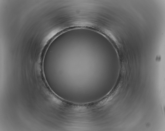 X0000091291071200708101241