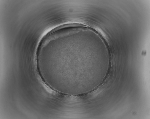 X0000091291072200708101241