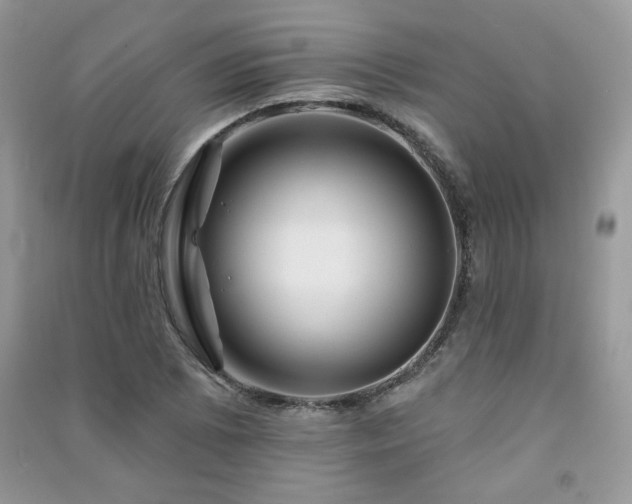 X0000091291073200708101241