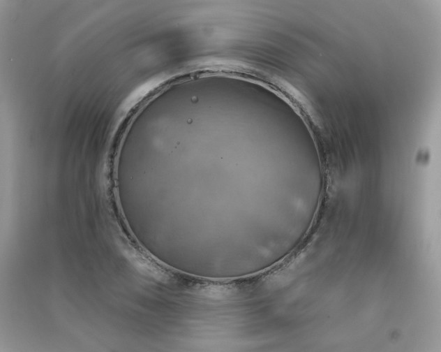 X0000091291074200708101241