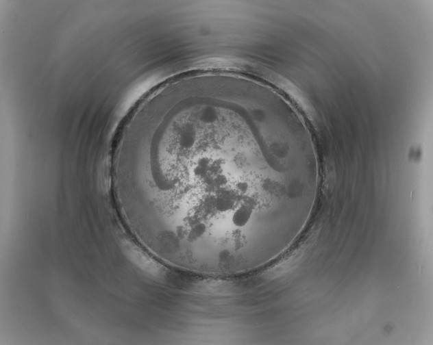 X0000091291075200708101241