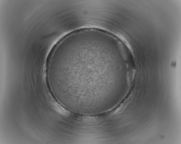 X0000091291076200708101241