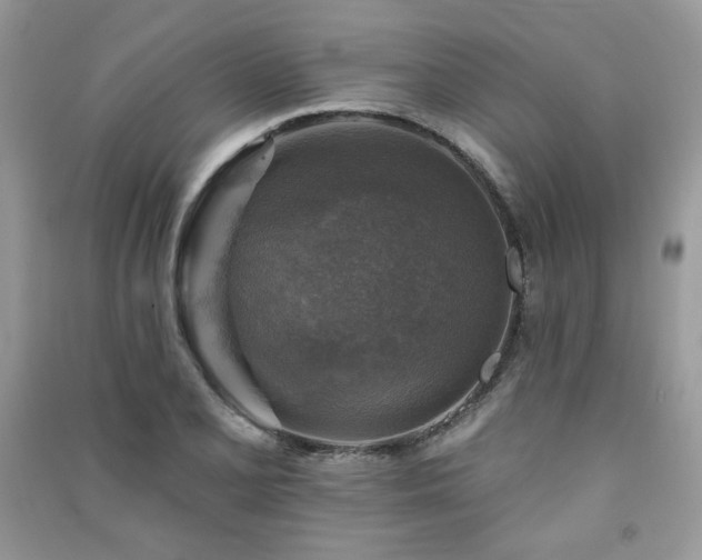 X0000091291077200708101241