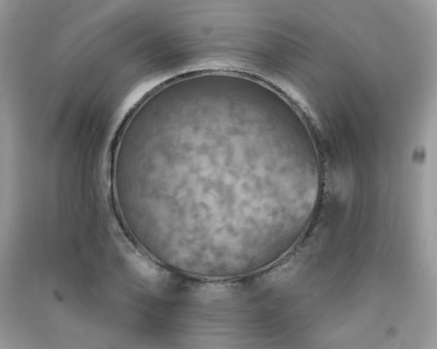 X0000091291078200708101241