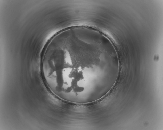 X0000091291079200708101241