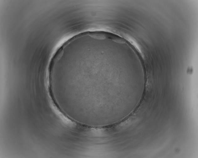 X0000091291080200708101241