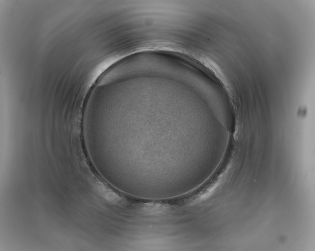 X0000091291081200708101241