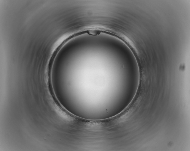 X0000091291082200708101241