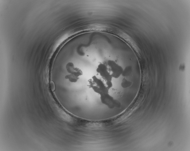 X0000091291083200708101241