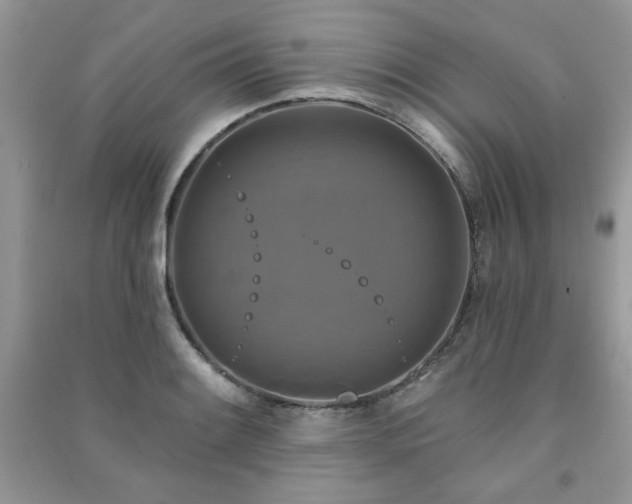 X0000091291084200708101241