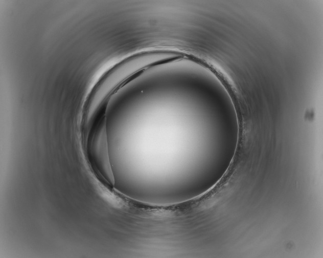 X0000091291085200708101241