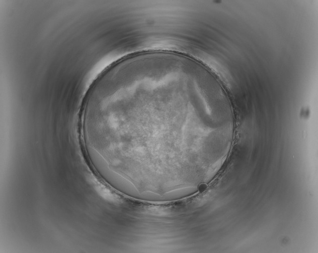 X0000091291086200708101241