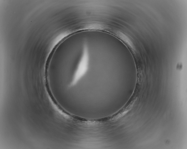 X0000091291087200708101241