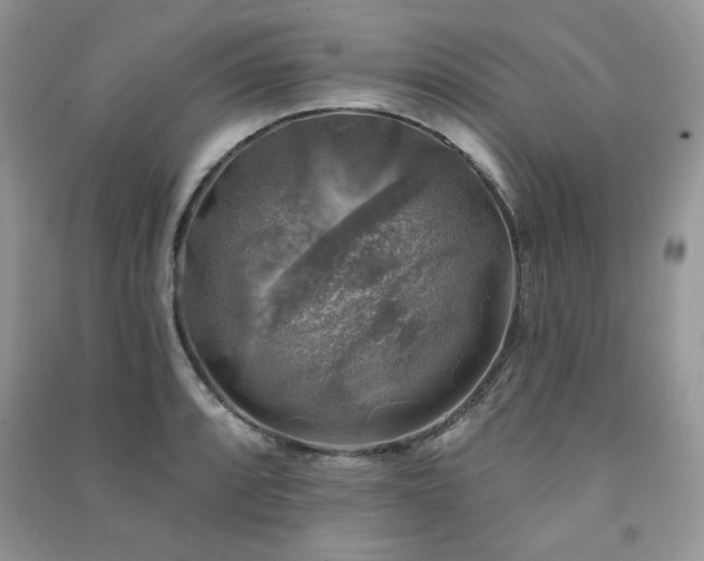 X0000091291088200708101241