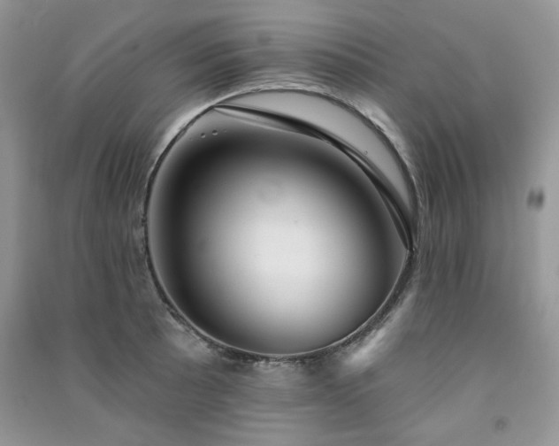 X0000091291089200708101241