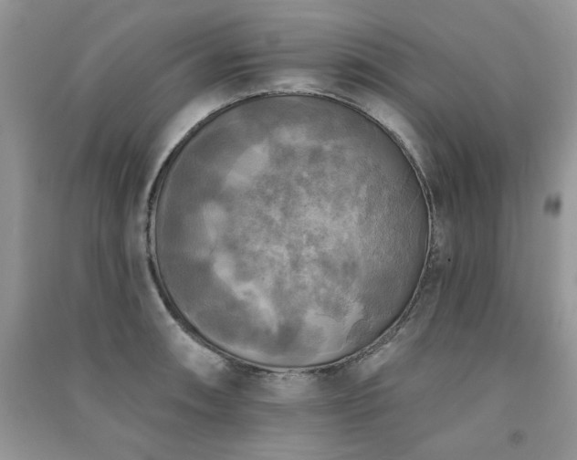 X0000091291090200708101241