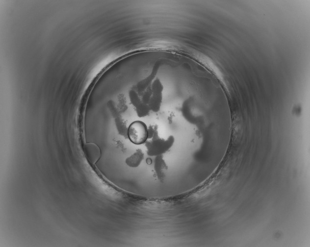 X0000091291091200708101241