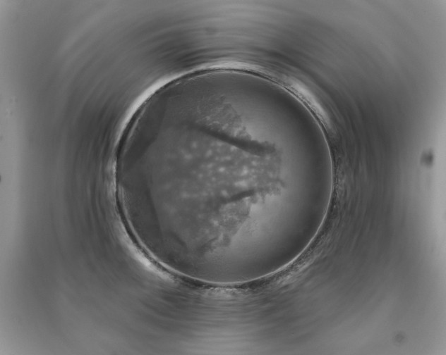 X0000091291092200708101241