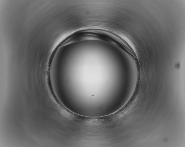 X0000091291093200708101241