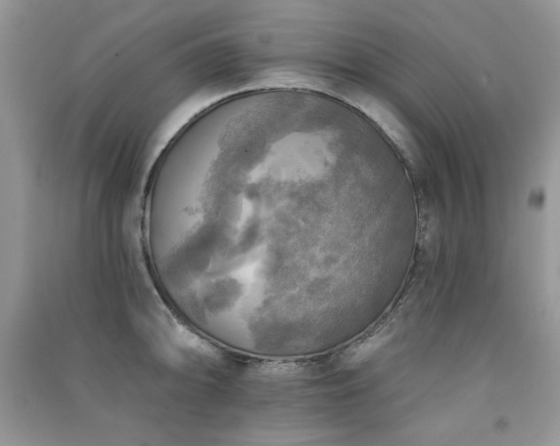 X0000091291094200708101241