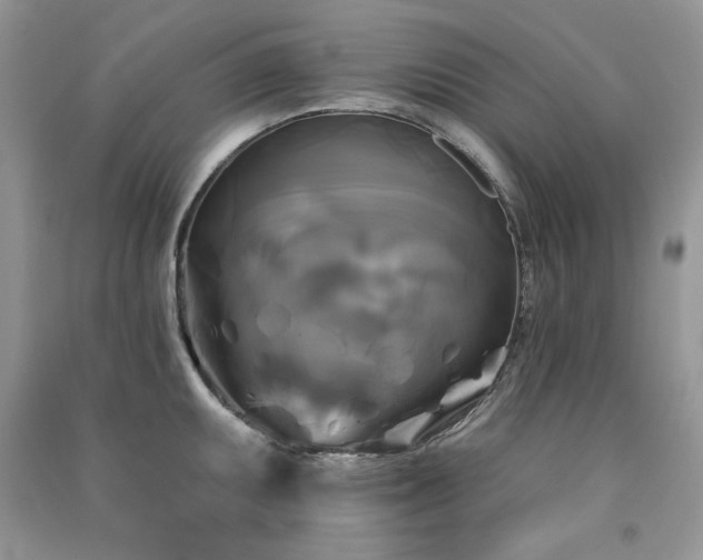 X0000091291095200708101241