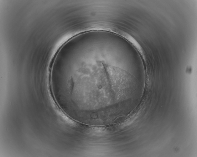 X0000091291096200708101241