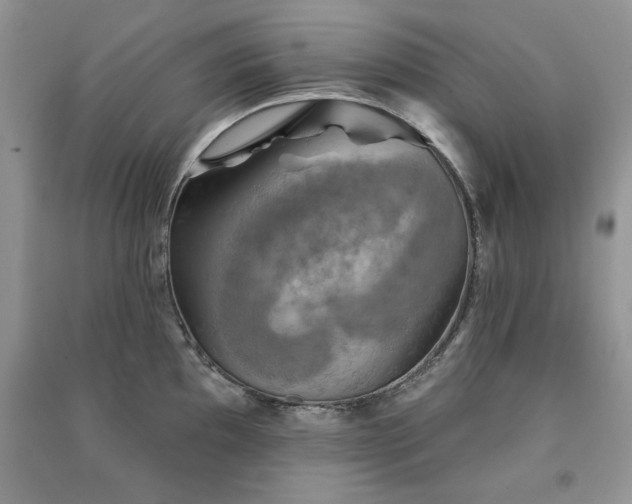 X0000091291097200708101241