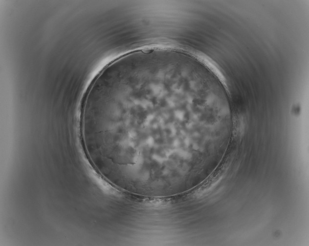 X0000091291099200708101241