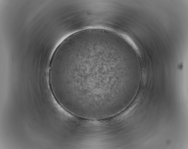 X0000091291100200708101241