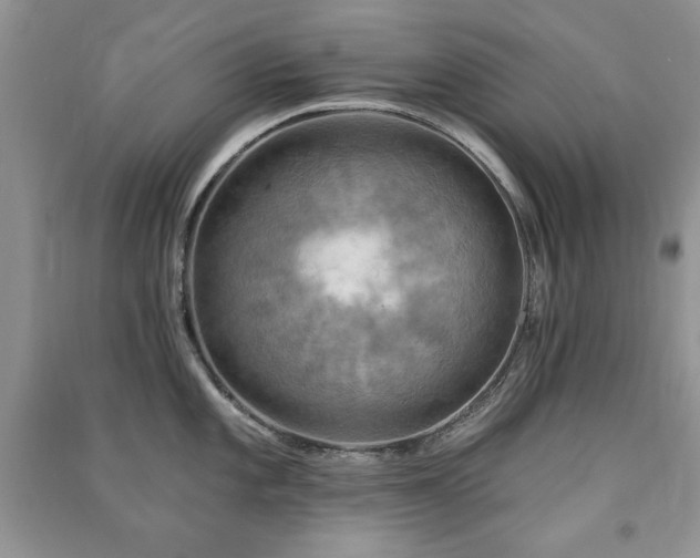 X0000091291101200708101241