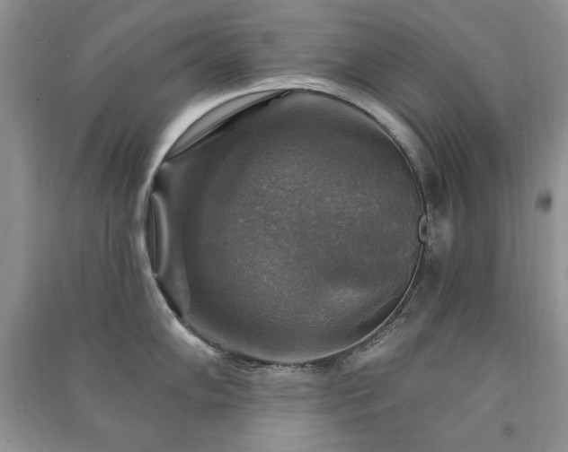 X0000091291102200708101241