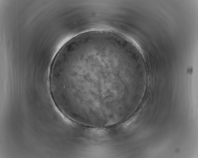 X0000091291103200708101241